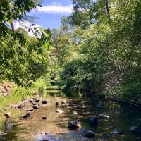 Gulpha Gorge Campground ico