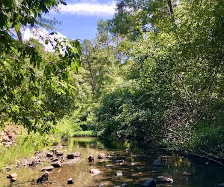 Gulpha Gorge Campground