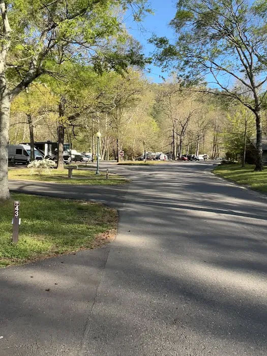 Gulpha Gorge Campground Picture 7