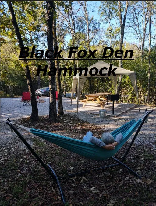 Camp Wildcat - Secluded Glamping by Reservation Picture 4