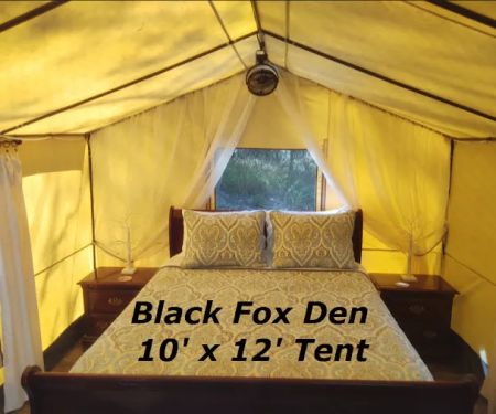 Camp Wildcat - Secluded Glamping by Reservation
