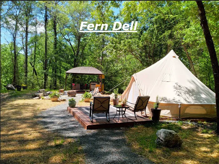 Camp Wildcat - Secluded Glamping by Reservation Picture 9