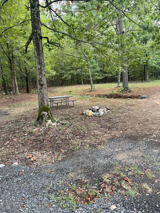 The Ponds RV Park Picture 2