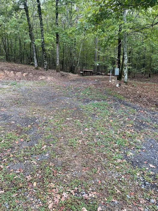 The Ponds RV Park Picture 3
