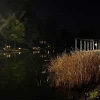 The Vista at the Lake ico