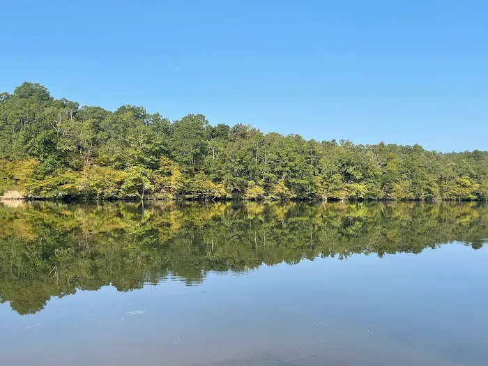 The Vista at the Lake Picture 9