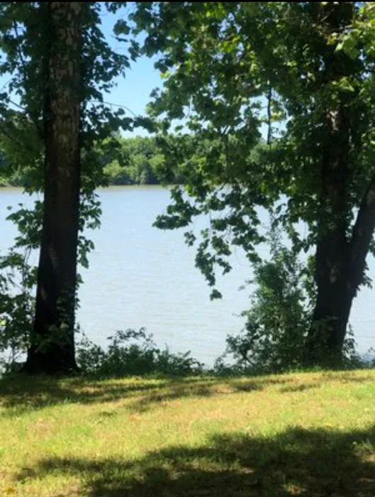 River Ridge Campground Picture 5