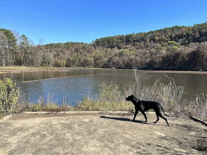 Shores Lake Recreation Area Picture 3