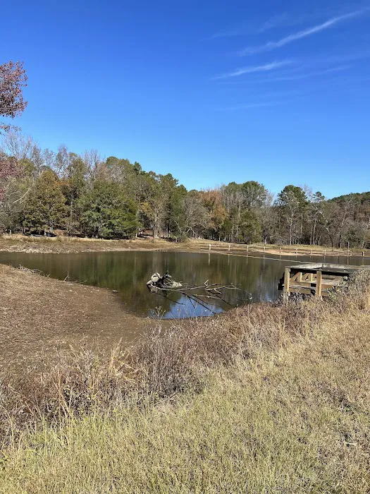 Shores Lake Recreation Area Picture 5