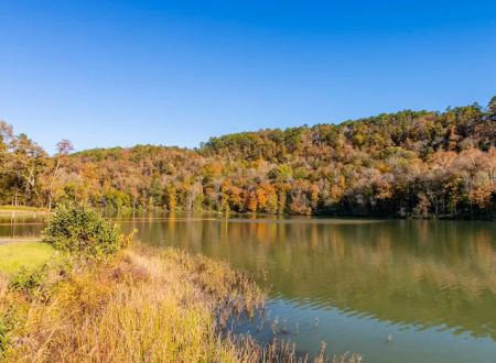 Shores Lake Campground