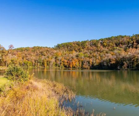 Shores Lake Campground