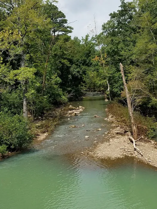 Shores Lake Campground Picture 7
