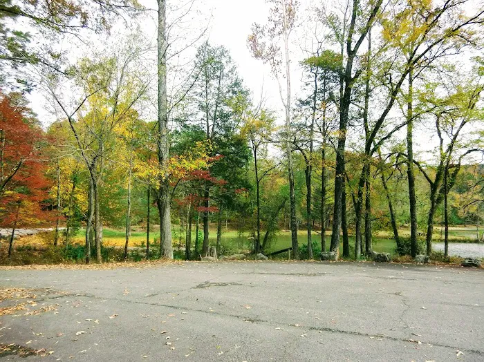 Shores Lake Campground Picture 9
