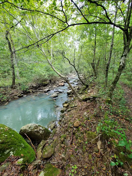 Shores Lake Campground Picture 10