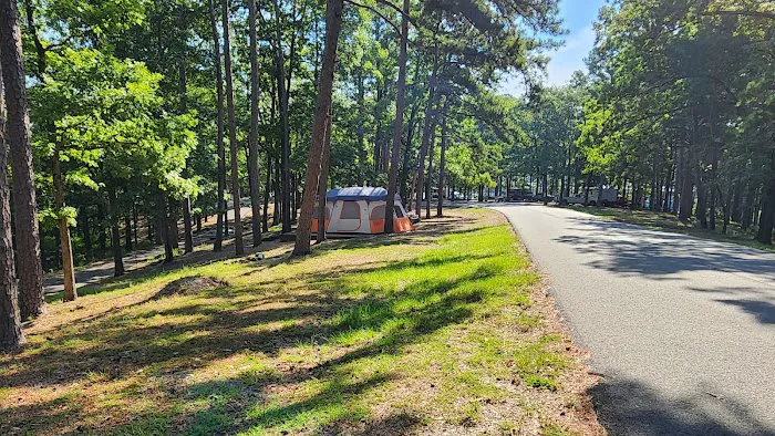 Brady Mountain Recreational Area Picture 9