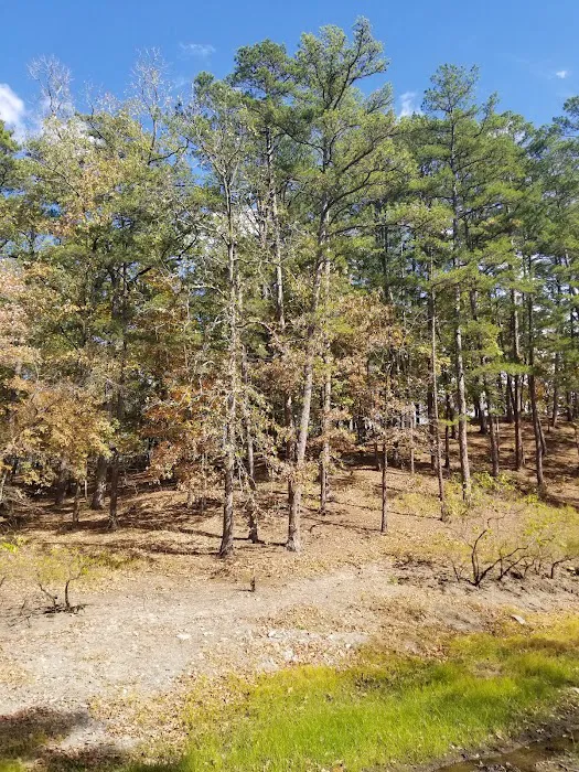 Crystal Springs Campground Picture 10
