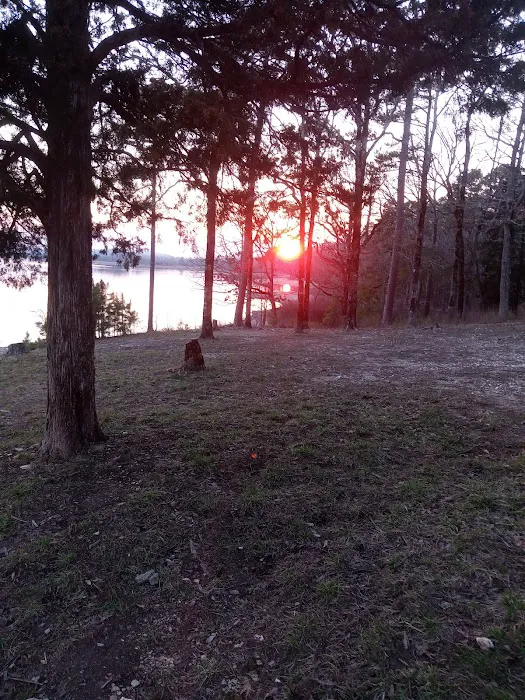 Big Fir Public Use Area Picture 5