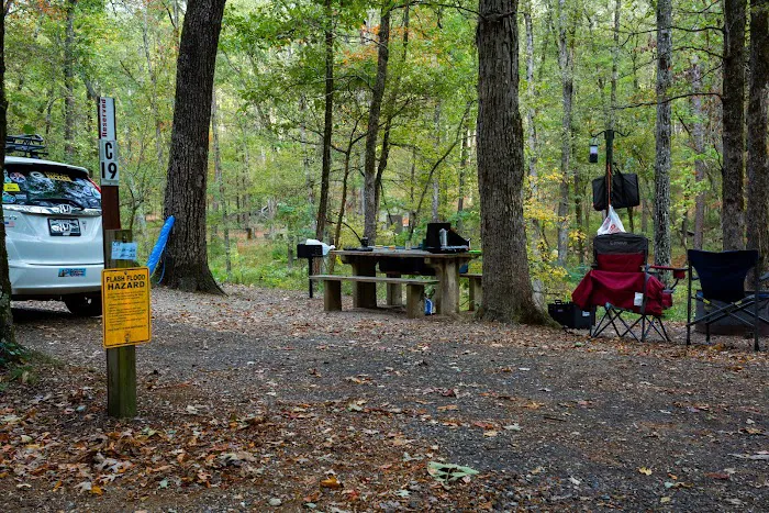 Camp Site C19 Picture 4