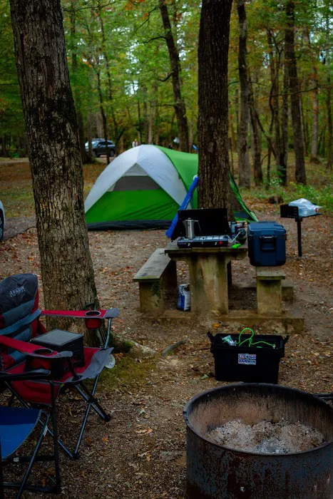 Camp Site C19 Picture 5