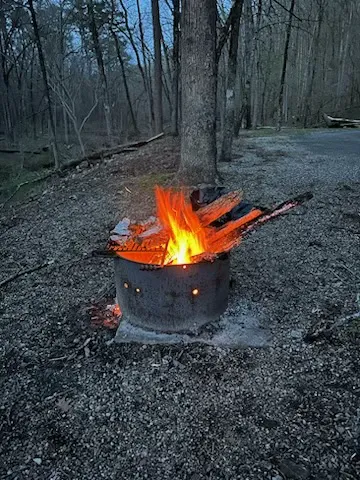 Camp Site C19 Picture 6