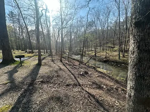 Camp Site C19 Picture 7