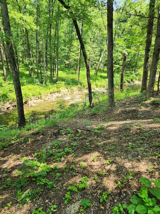 Camp Site C19 Picture 8