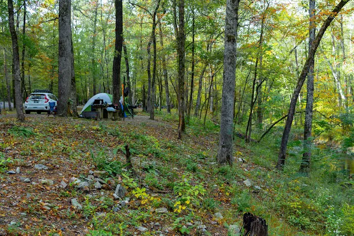 Camp Site C19 Picture 9