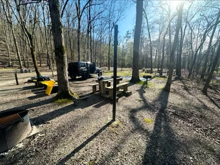 Camp Site C19 Picture 10