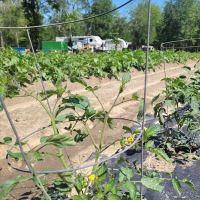 Big Thicket Hideaway RV Park ico