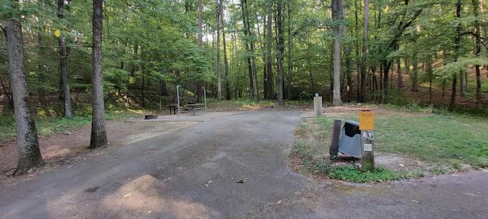 Camp Site 21 @ Charlton Recreation Area Picture 6