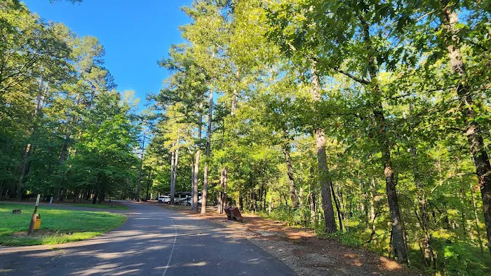 Charlton Recreation Area Picture 3