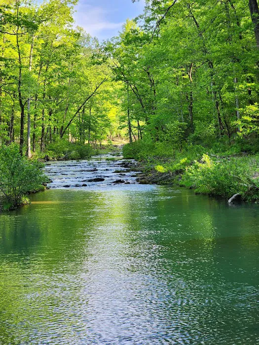 Charlton Recreation Area Picture 4