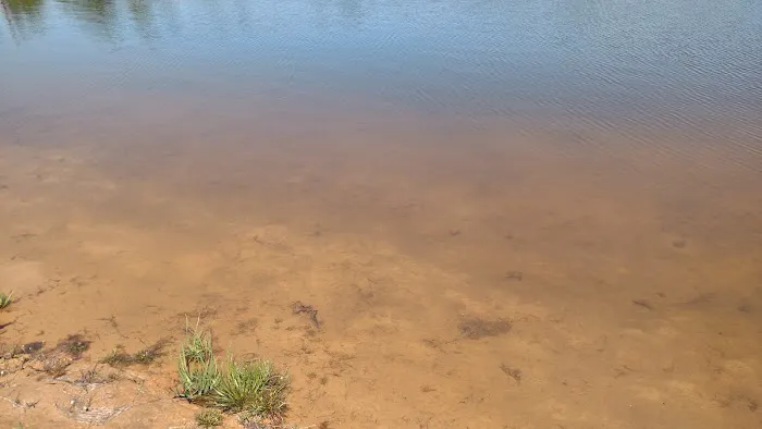 Thompson Lake RV Resort Picture 8