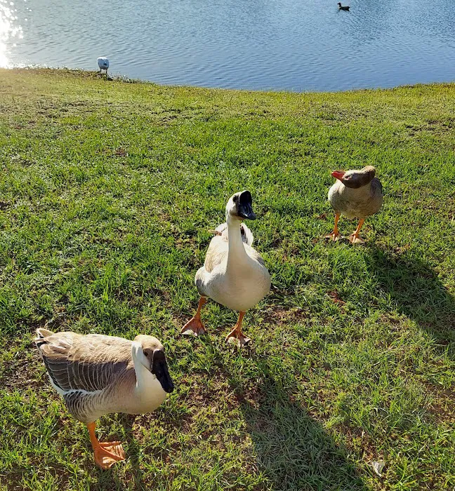 Thompson Lake RV Resort Picture 7