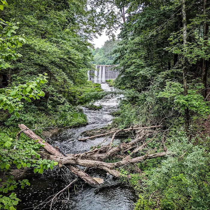 Camp Clearfork Picture 6