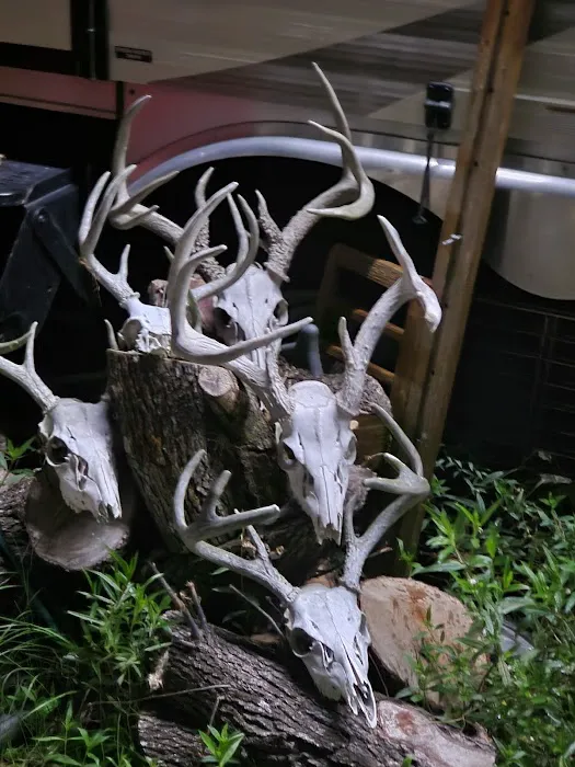 Kountze RV Park Picture 5