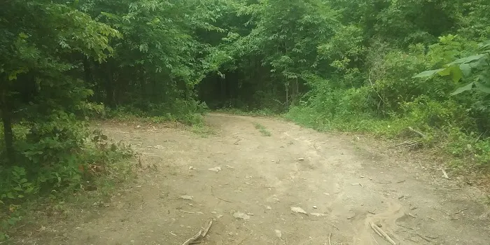 Ozark Mountains Campground Picture 4