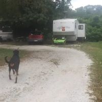 Ozark Mountains Campground ico