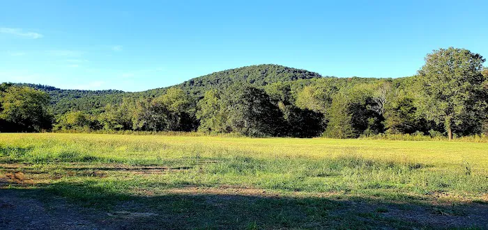 Bleau Valley Picture 2