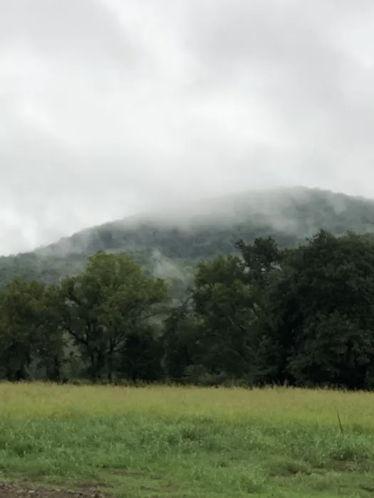 Bleau Valley Picture 6