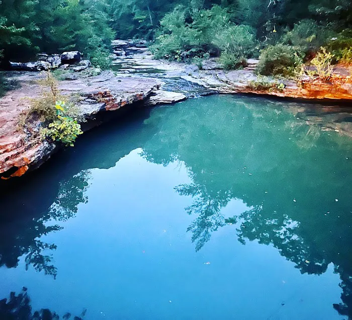 Mill Creek Outfitters Picture 10