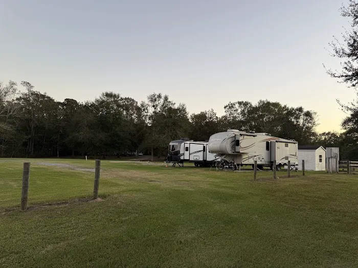 Fm 787 Thicket RV Park Picture 3