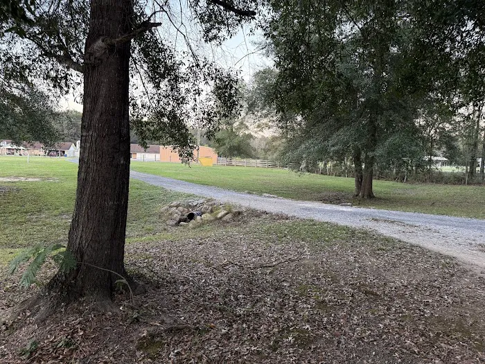 Fm 787 Thicket RV Park Picture 5