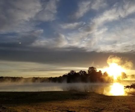 The Homestead RV Park