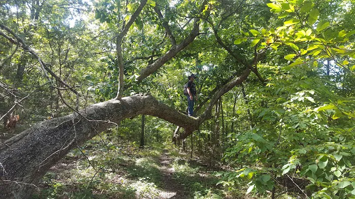 Indian Creek Park Picture 8