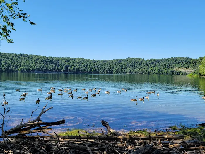 Horseshoe Bend Campground Picture 4