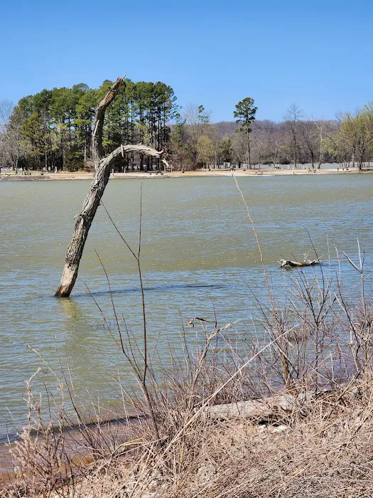 Horseshoe Bend Campground Picture 9