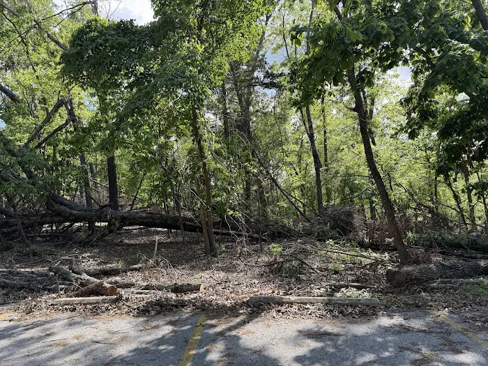 Prairie Creek Campground Picture 6