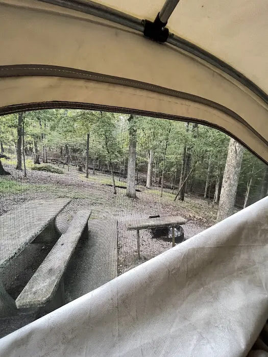 Prairie Creek Campground Picture 7