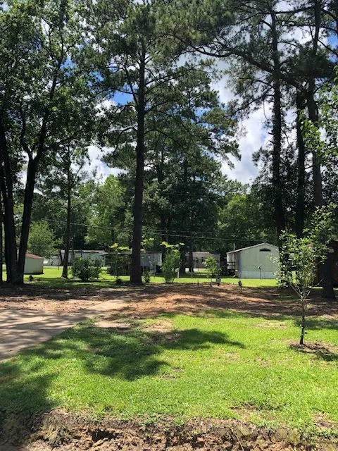 Sugar Pines RV & Mobile Home Park Picture 4